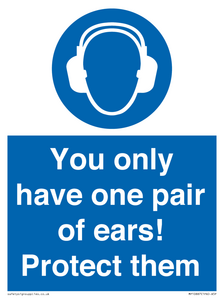 Mandatory: You only have one pair of ears! Protect them